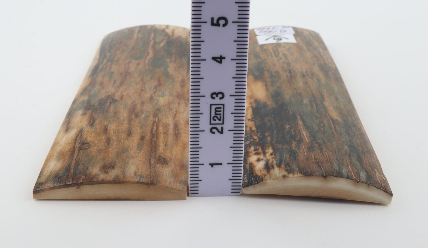 Natural mammoth bark scales