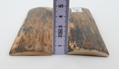 Natural mammoth bark scales