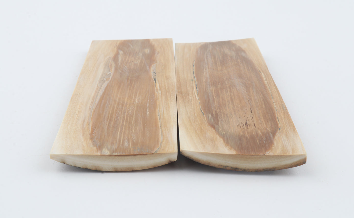 Natural mammoth bark scales