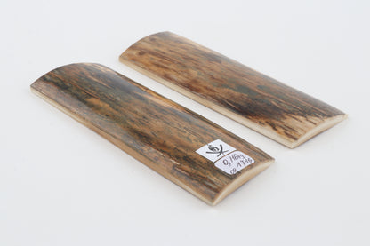 Natural mammoth bark scales