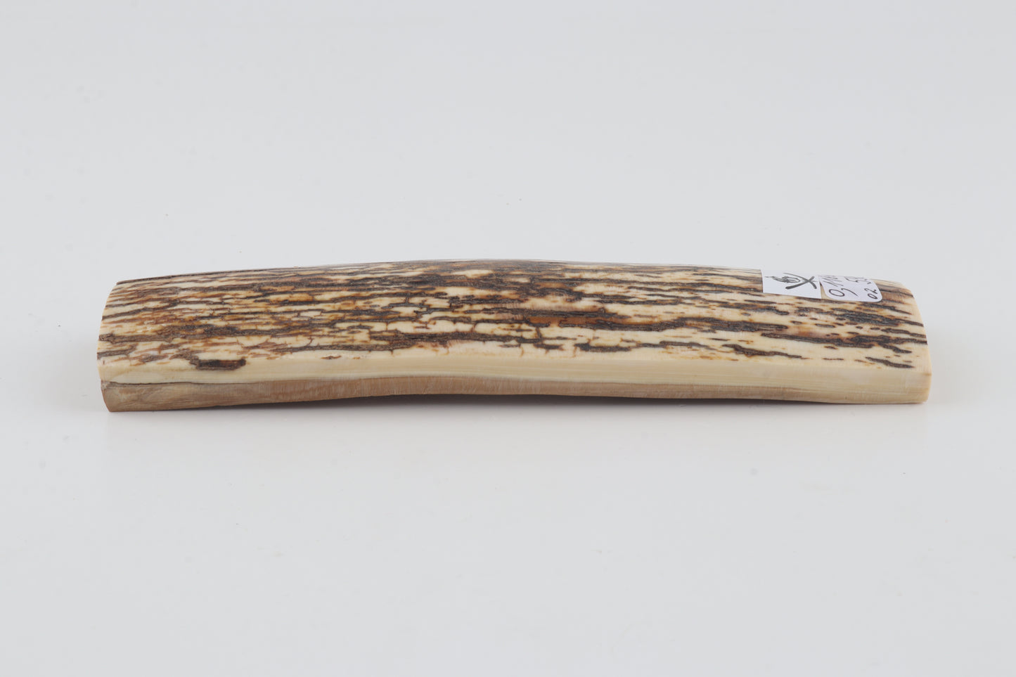 White-brown mammoth bark