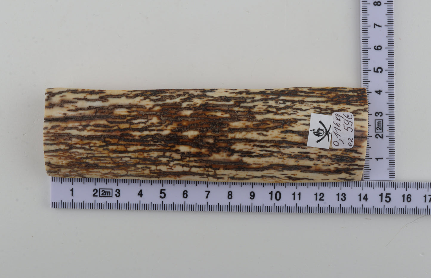 White-brown mammoth bark