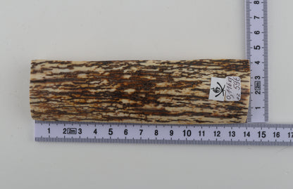 White-brown mammoth bark
