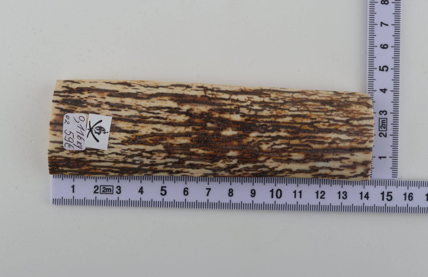 White-brown mammoth bark