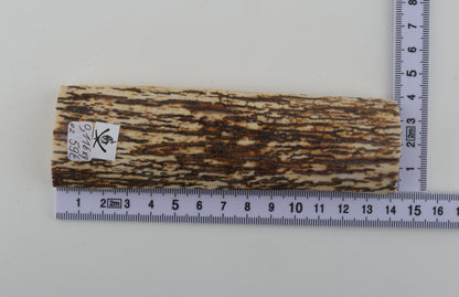 White-brown mammoth bark