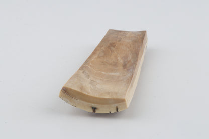 White-brown mammoth bark
