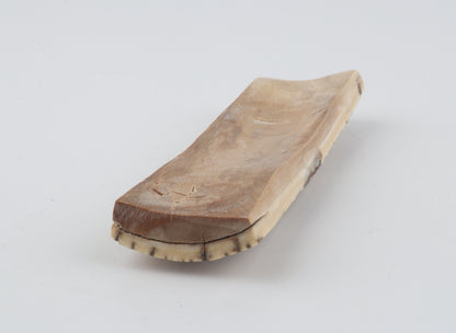 White-brown mammoth bark