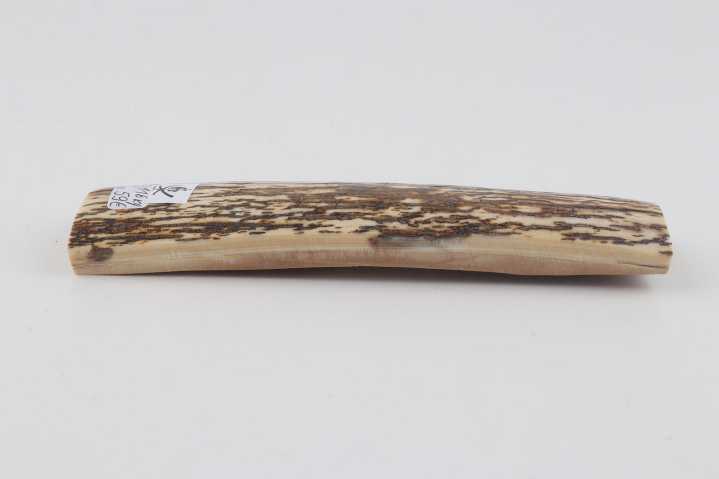 White-brown mammoth bark