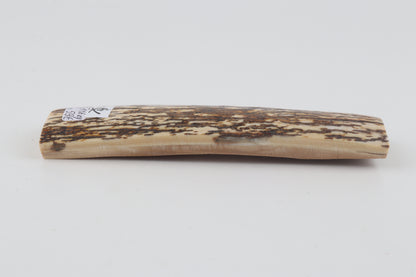 White-brown mammoth bark