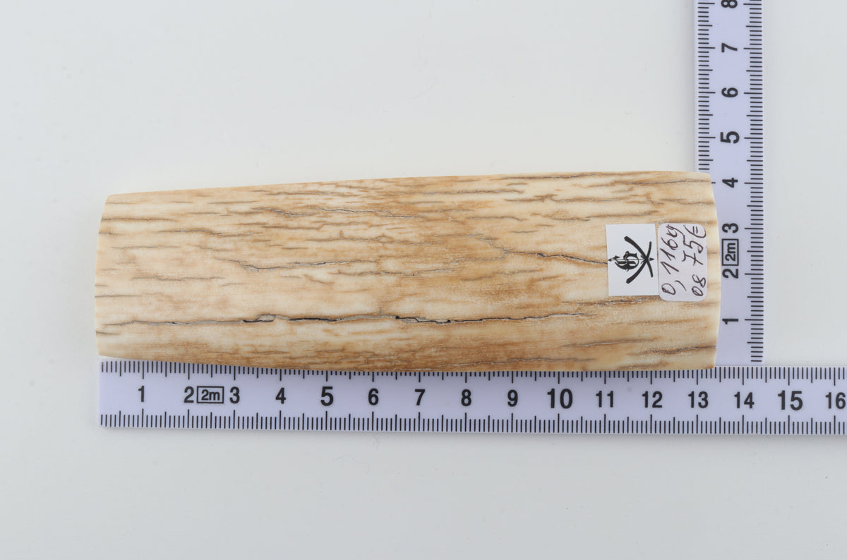 Natural mammoth ivory piece