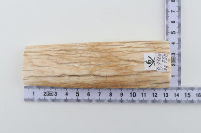 Natural mammoth ivory piece
