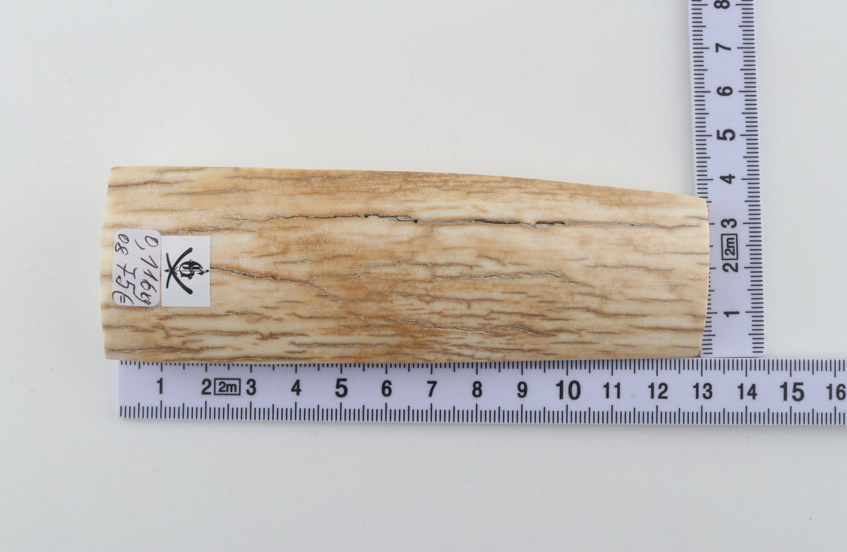 Natural mammoth ivory piece