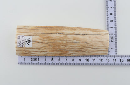 Natural mammoth ivory piece