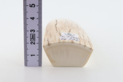 Natural mammoth ivory piece