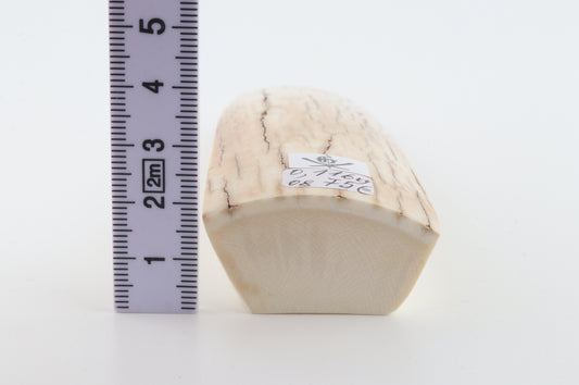 Natural mammoth ivory piece