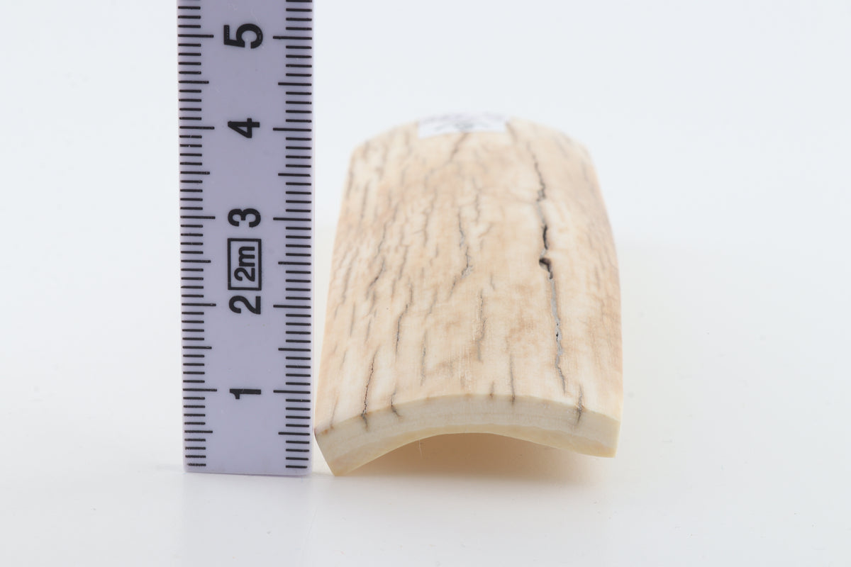 Natural mammoth ivory piece