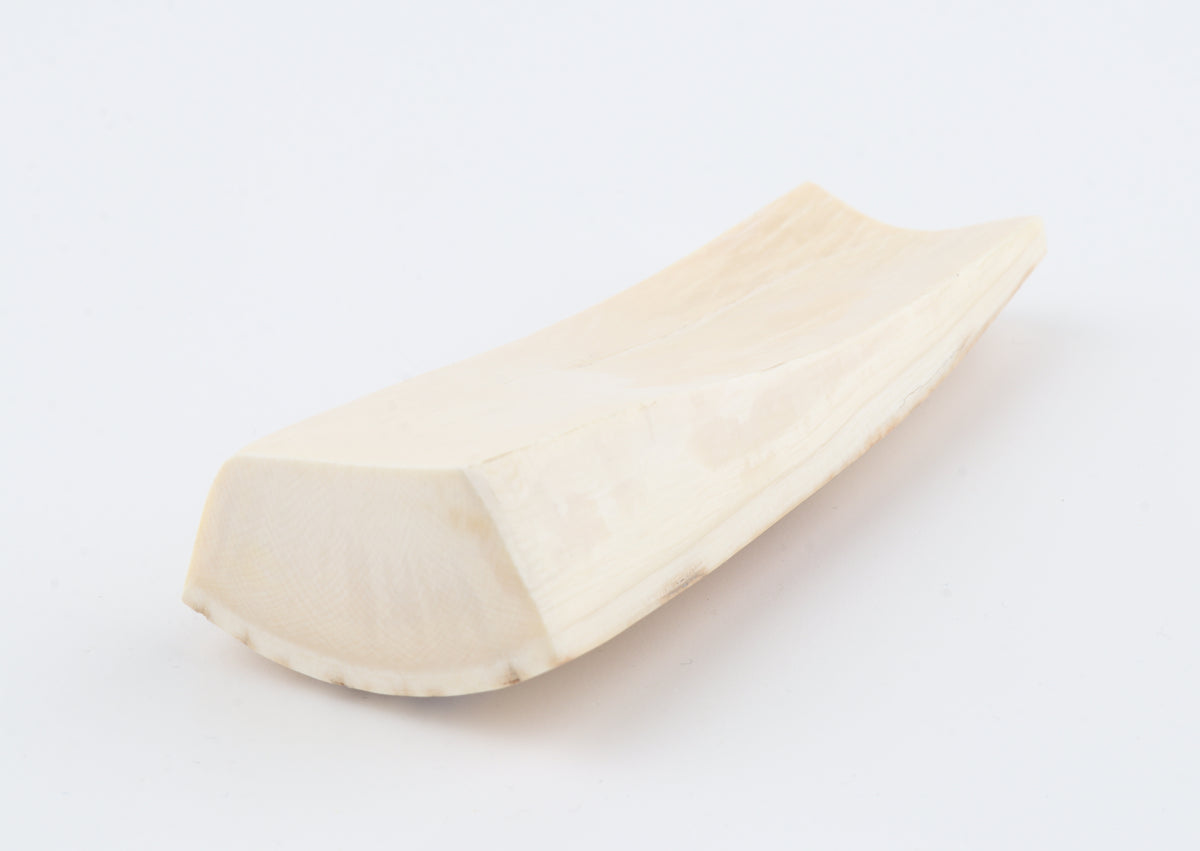 Natural mammoth ivory piece