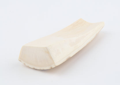 Natural mammoth ivory piece