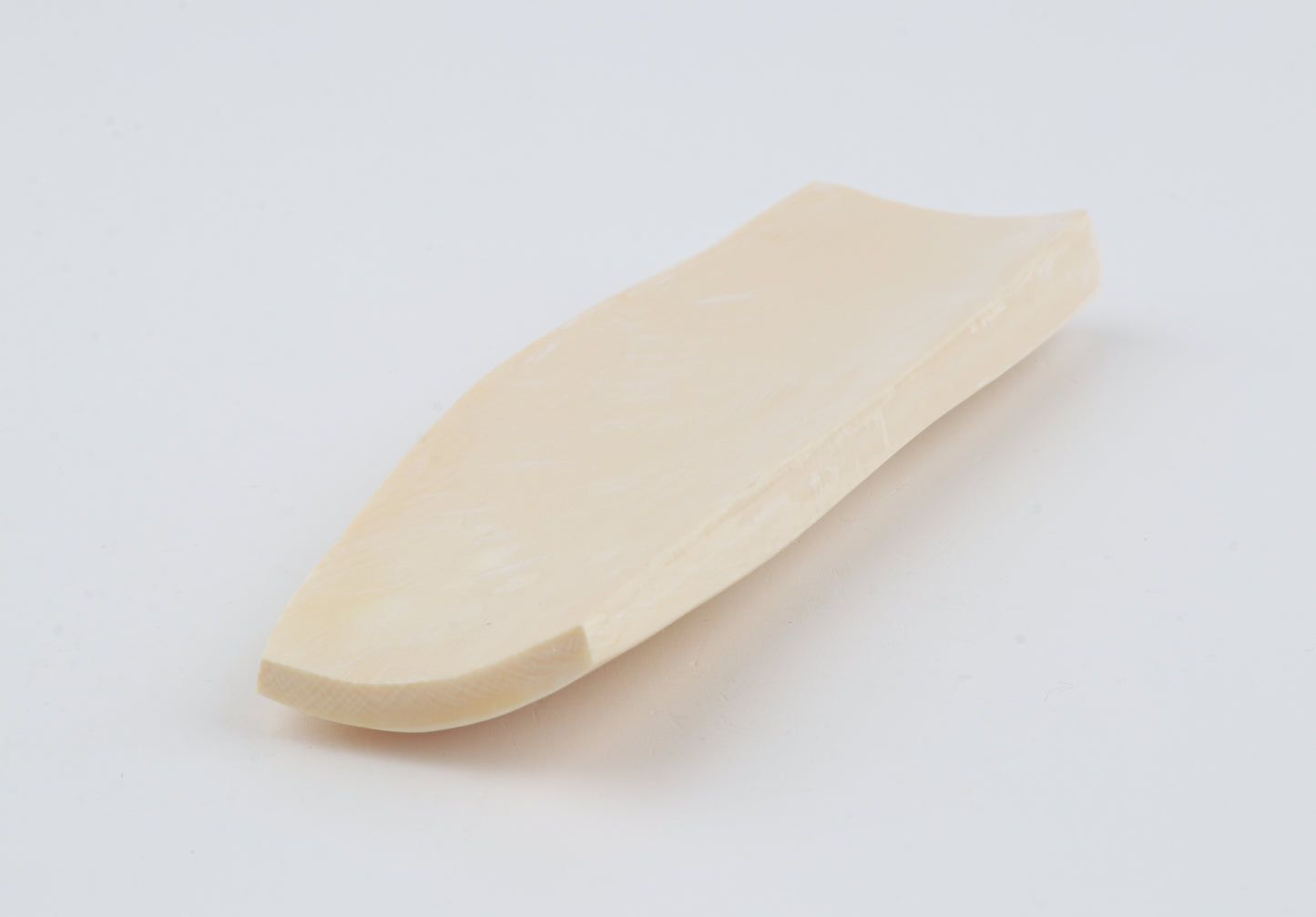 White mammoth ivory segment