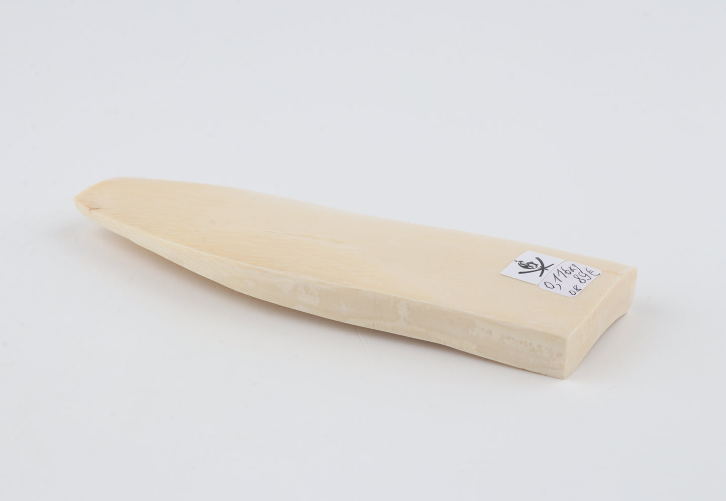 White mammoth ivory segment