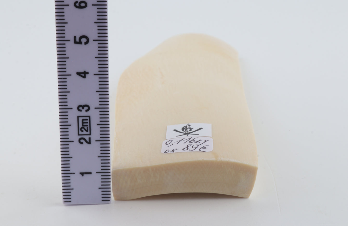 White mammoth ivory segment