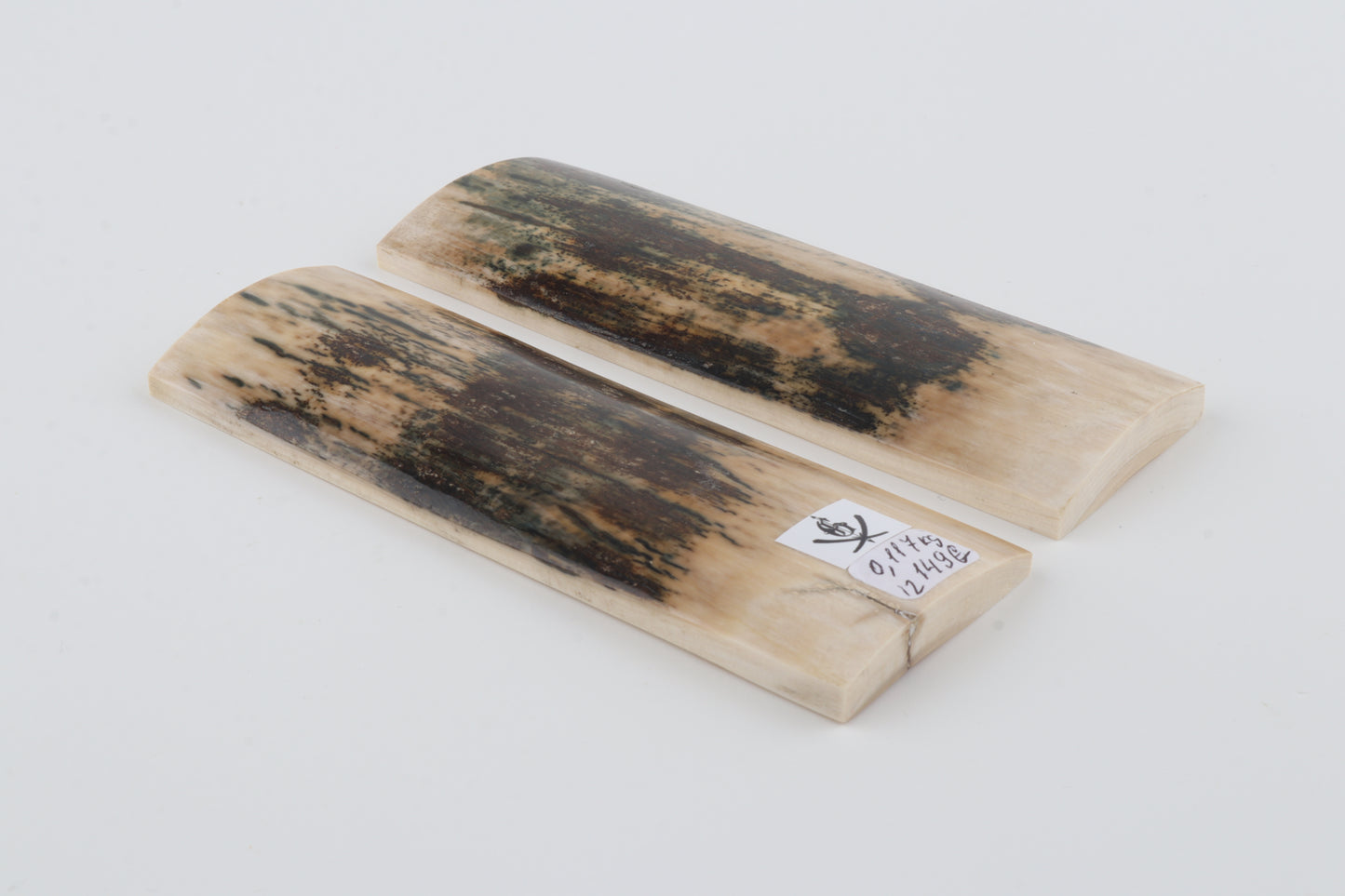 Natural woolly mammoth bark scales