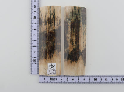 Natural woolly mammoth bark scales