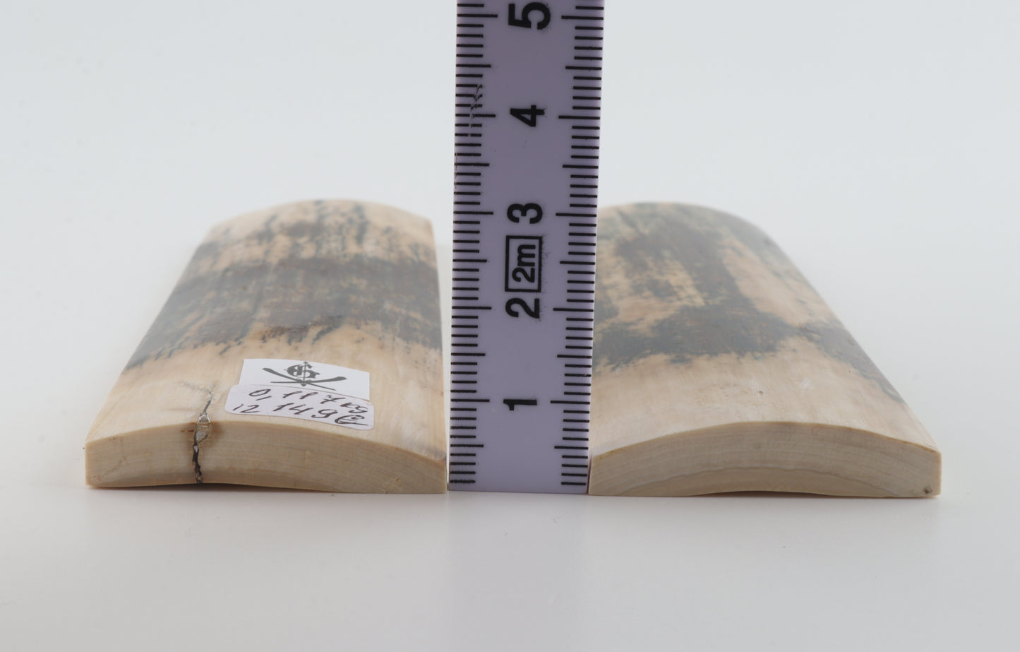 Natural woolly mammoth bark scales