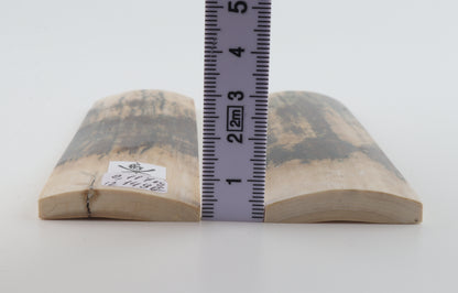 Natural woolly mammoth bark scales