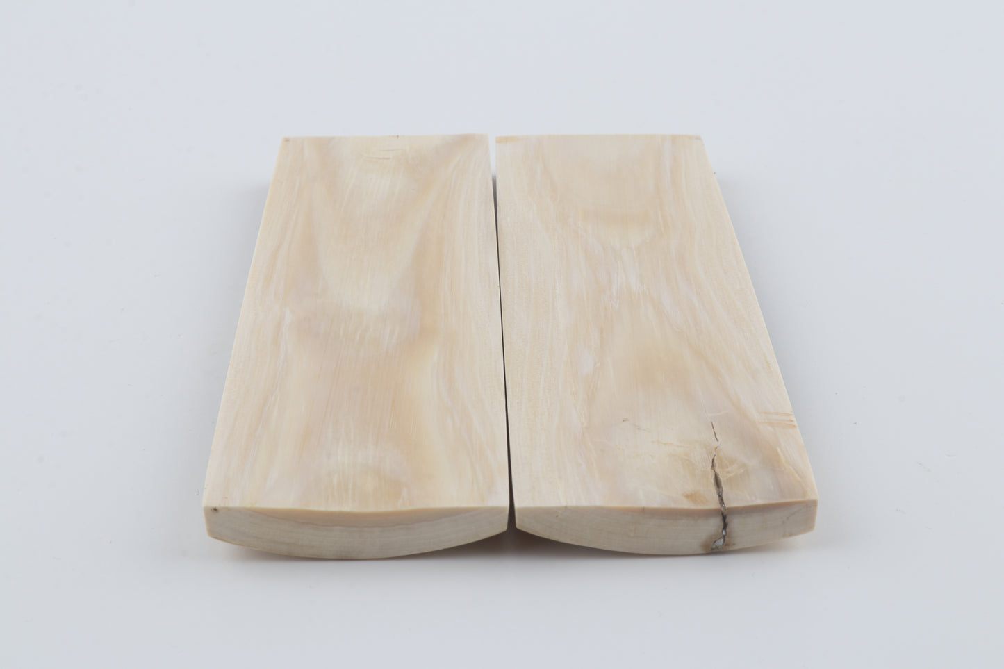 Natural woolly mammoth bark scales