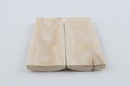 Natural woolly mammoth bark scales