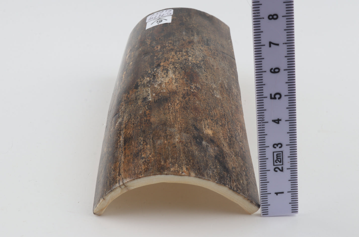 Natural mammoth bark