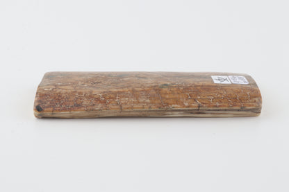 Beige mammoth bark