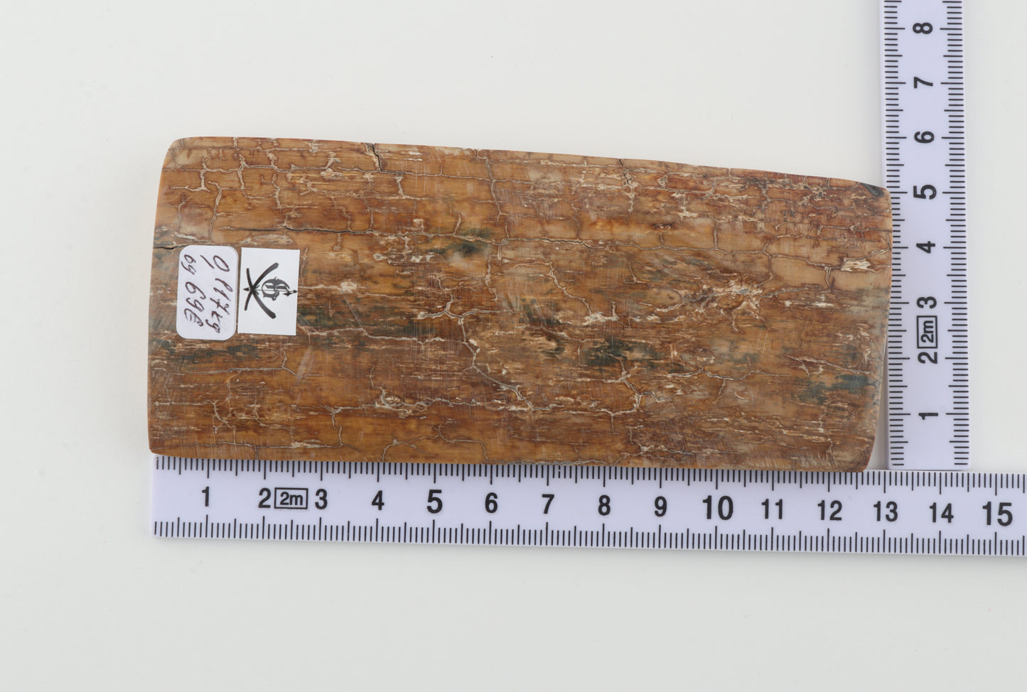 Beige mammoth bark