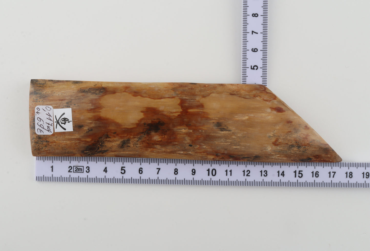 Beige-orange mammoth bark