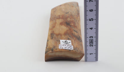 Beige-orange mammoth bark