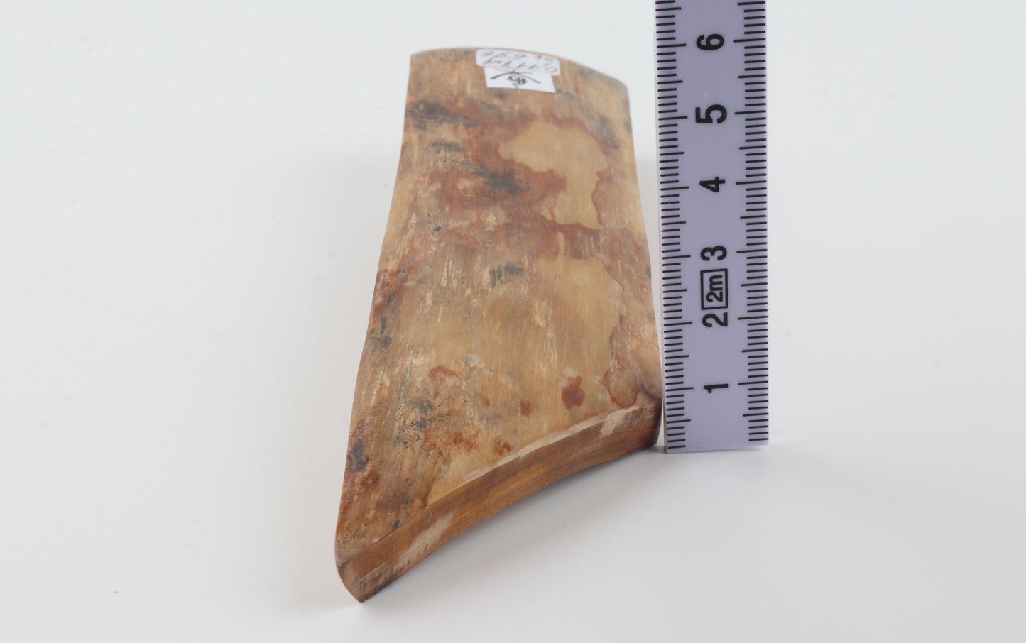 Beige-orange mammoth bark