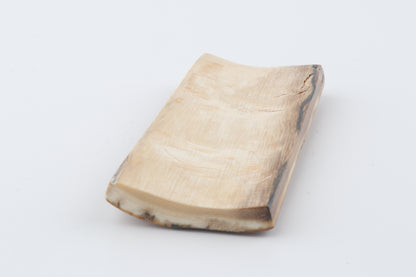Beige mammoth bark
