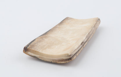 Beige mammoth bark