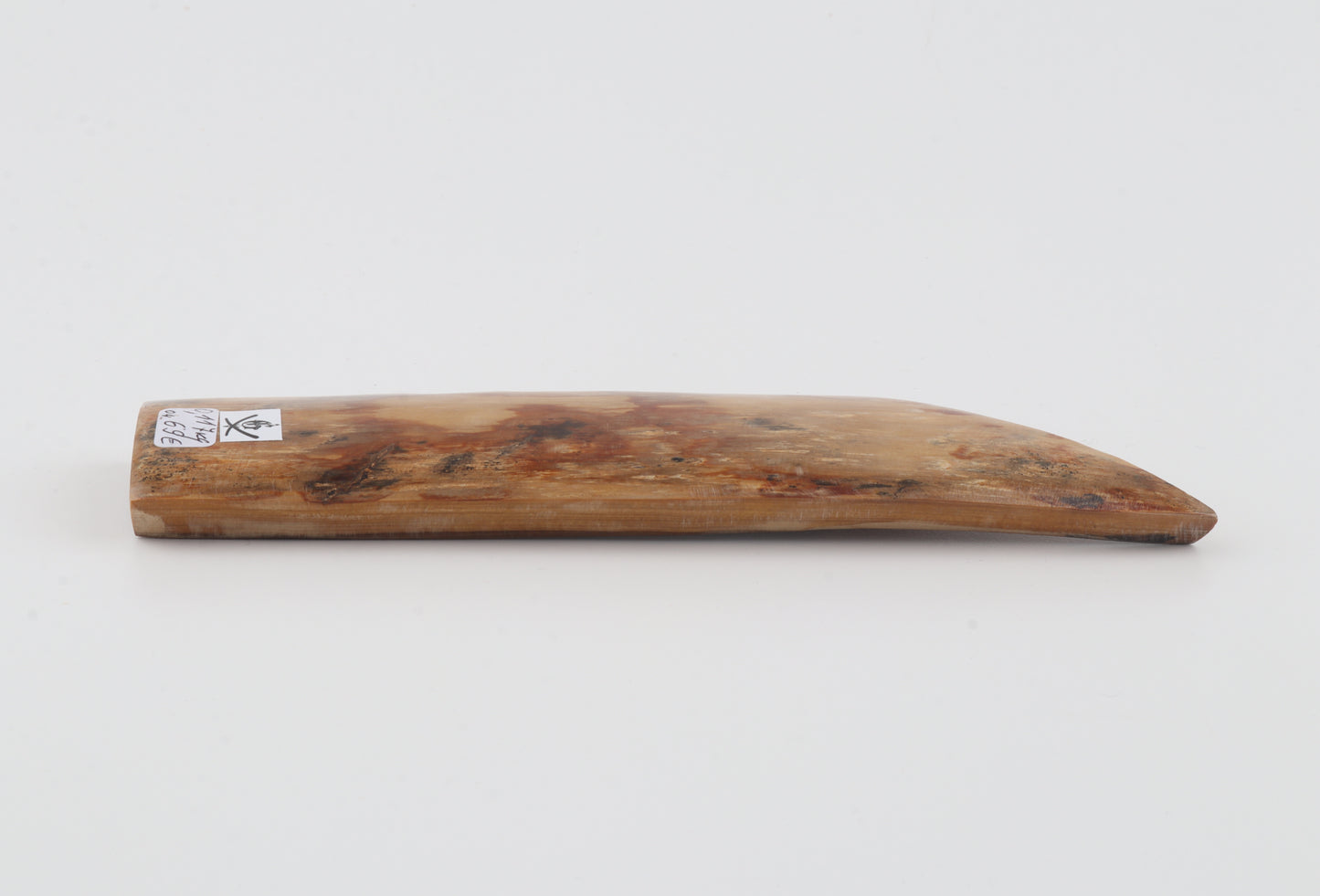 Beige-orange mammoth bark