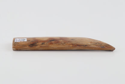Beige-orange mammoth bark