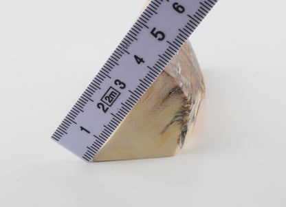 Natural mammoth ivory piece