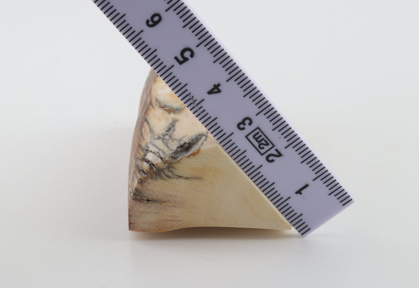 Natural mammoth ivory piece