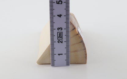 Natural mammoth ivory piece