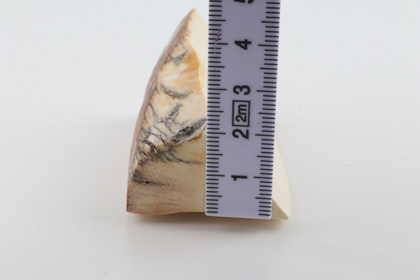 Natural mammoth ivory piece