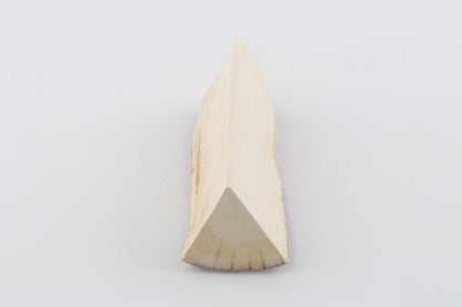 Natural mammoth ivory piece