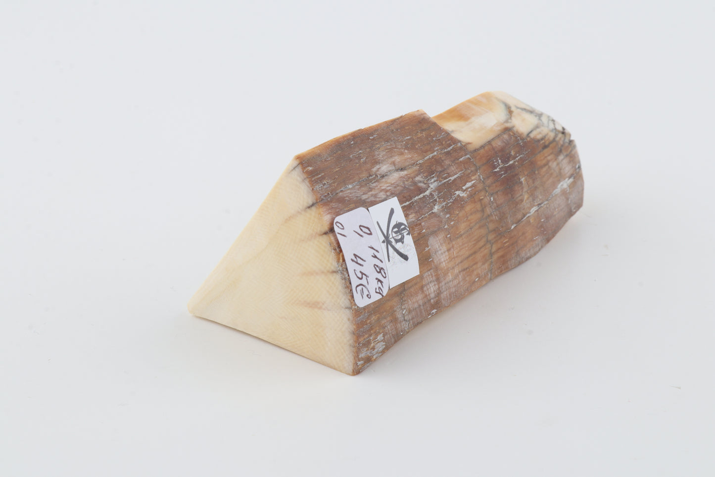 Natural mammoth ivory piece