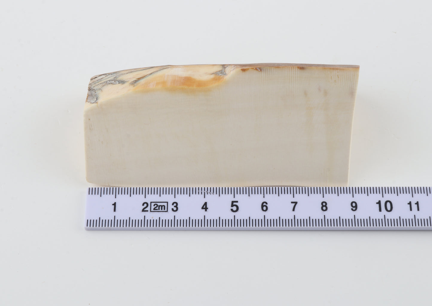 Natural mammoth ivory piece