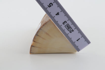 Natural mammoth ivory piece