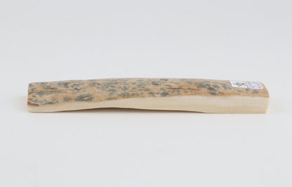 Beige-blue mammoth bark